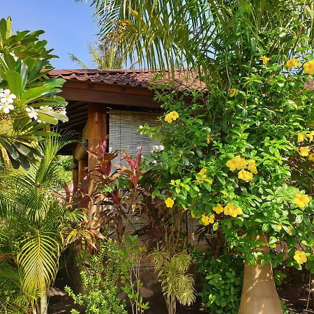Waiara Village Guesthouse 毛梅雷 外观 照片