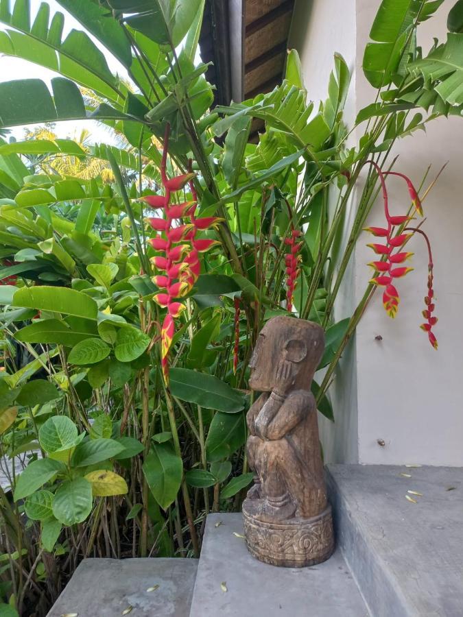 Waiara Village Guesthouse 毛梅雷 外观 照片