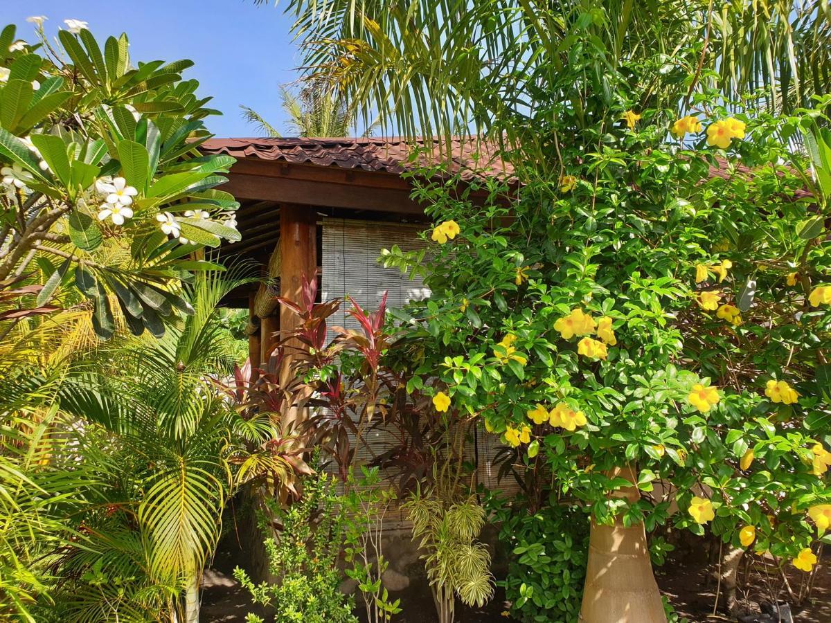 Waiara Village Guesthouse 毛梅雷 外观 照片