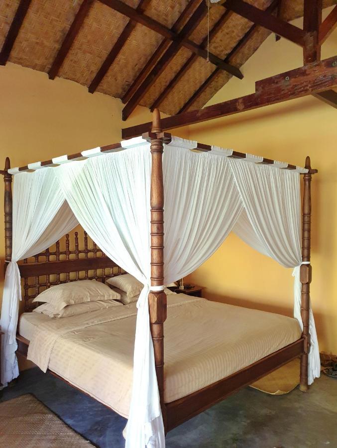 Waiara Village Guesthouse 毛梅雷 外观 照片